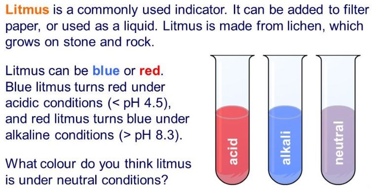 litmus information