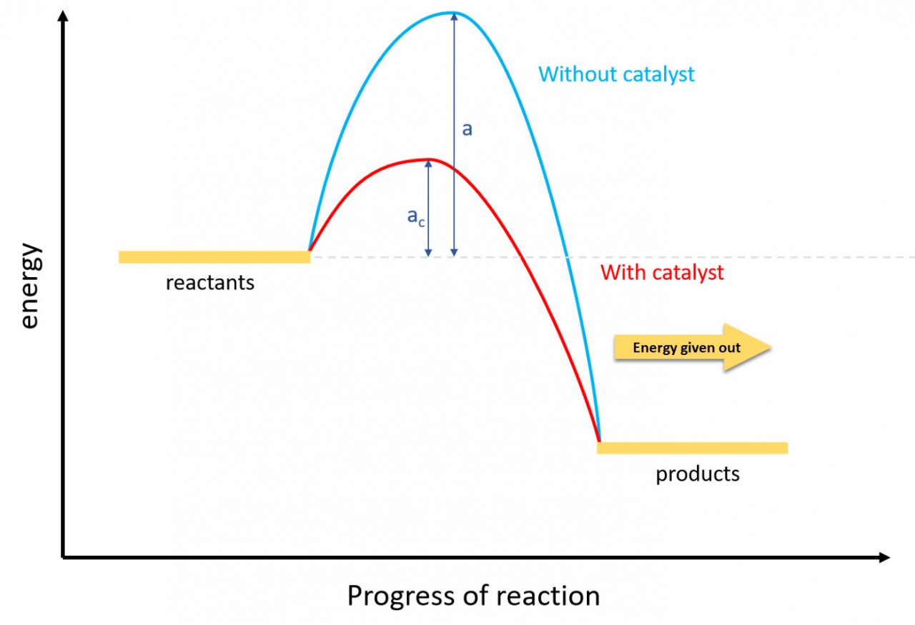 reaction profile