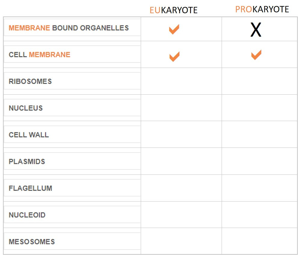 image of blank table for results