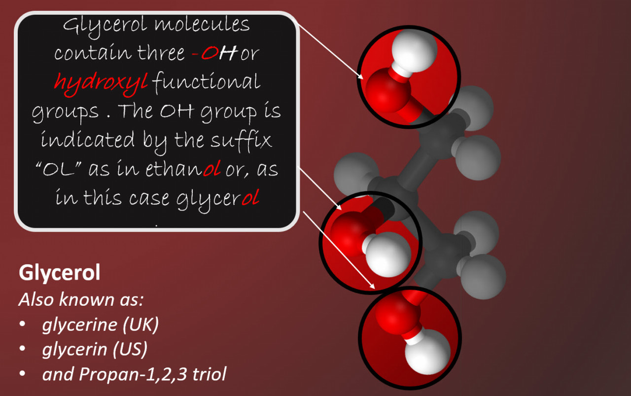 glycerol molecule