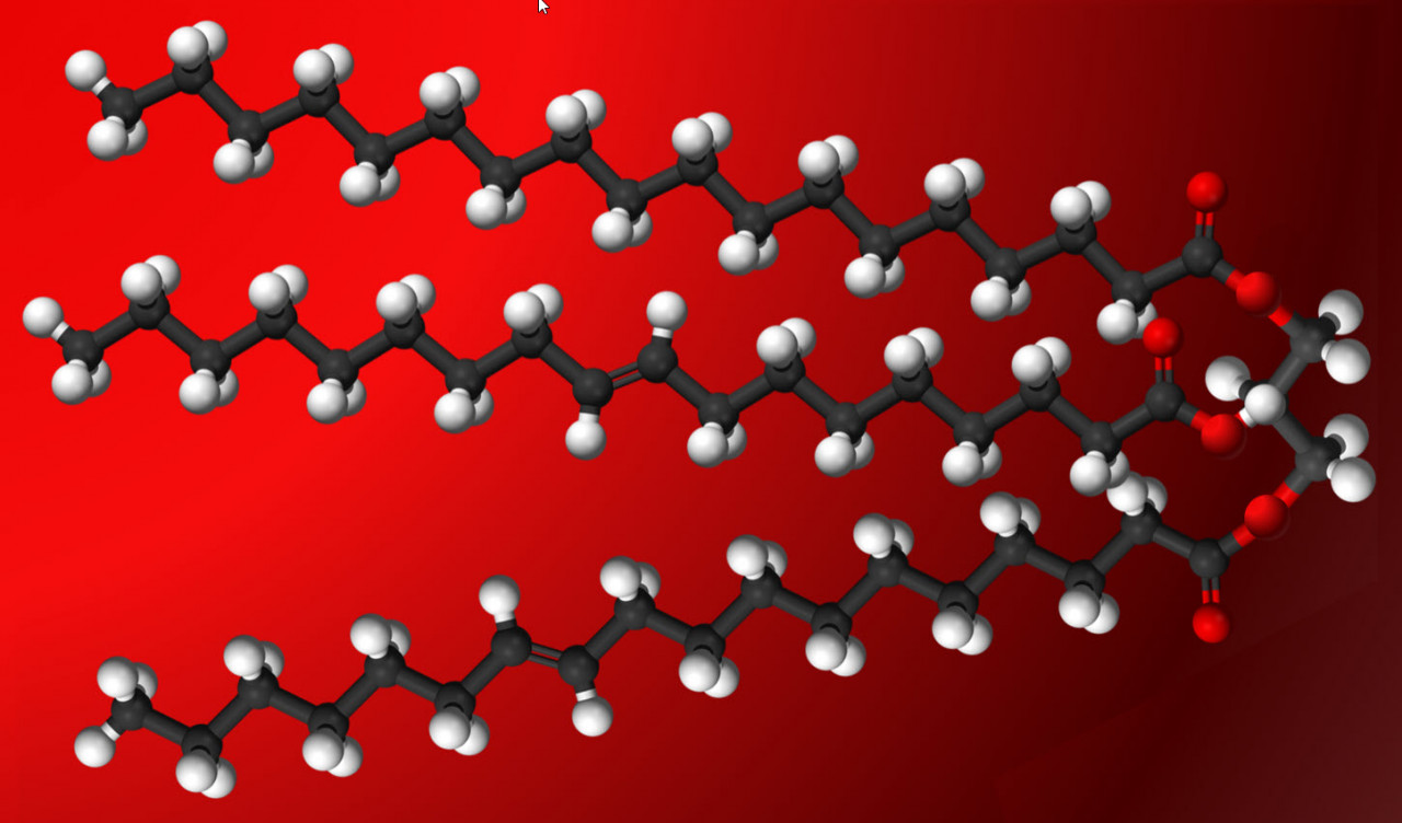 image of a triglyceride